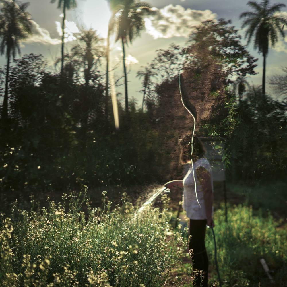 visualising-seed-sovereignty