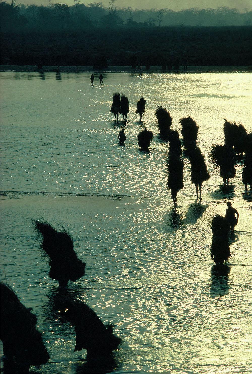 Tharu villagers cross the Rapti River to enter Chitwan National Park. Since the foundation of the national park, the locals are permitted to enter only for a few days in January upon paying a fee to acquire grass needed for house construction and household articles. This has dramatically changed the economy of home building for the Tharus. (Photograph by Ulrike Müller-Böker. 1987.)
