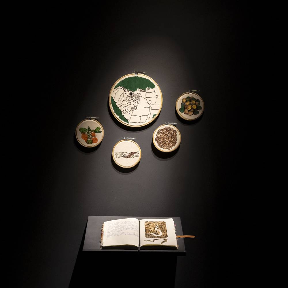 the-land-and-its-people-as