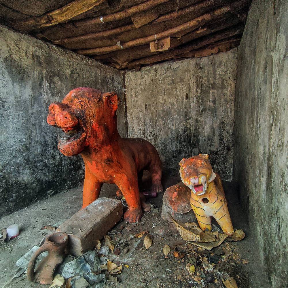 a-belief-in-co-existence