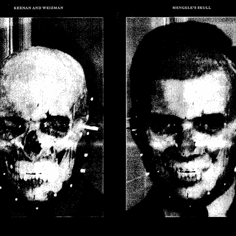 shifting-perspectives