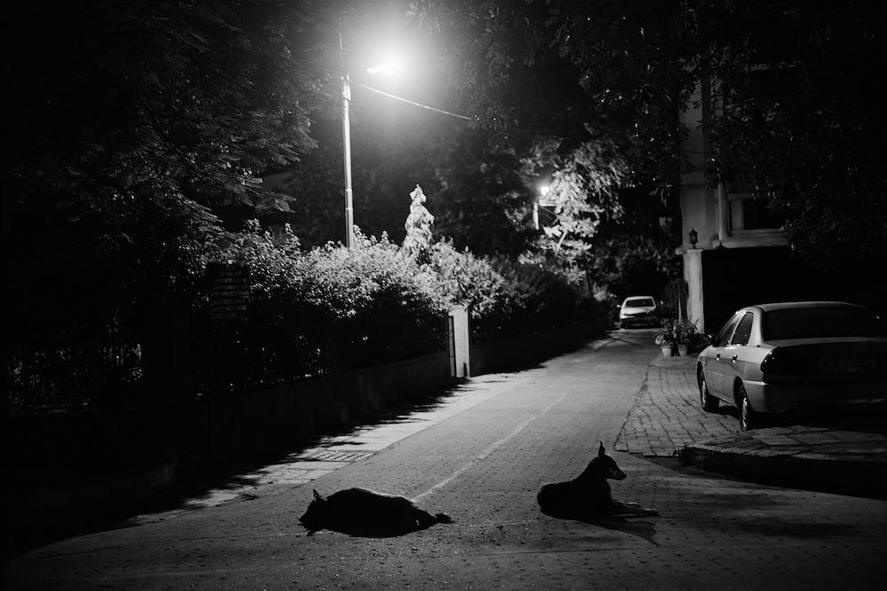 Untitled, From the Series Nizamuddin at Night. (Delhi, 2005–Ongoing. Image courtesy of the artist.)
