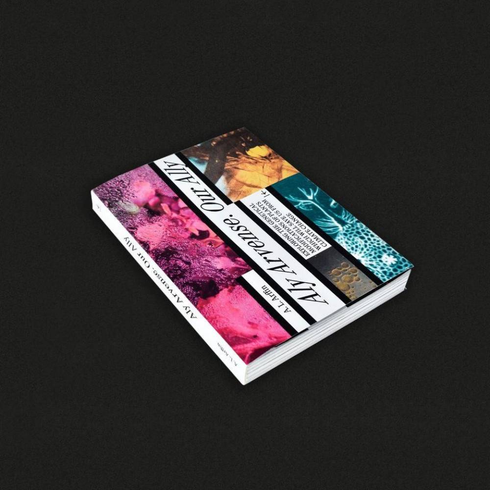 on-publishing-at-the-chennai-photo-biennale-2025