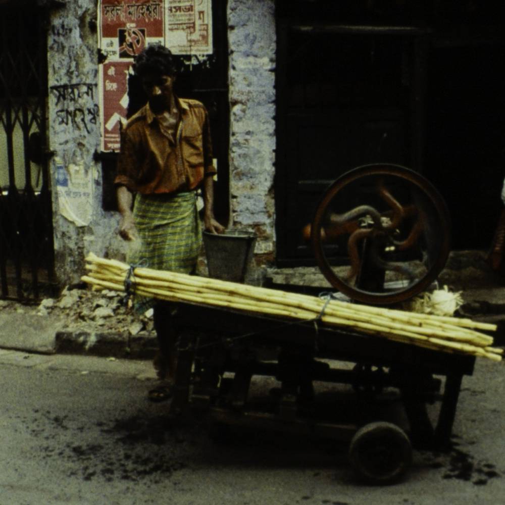 stepping-out-into-the-world